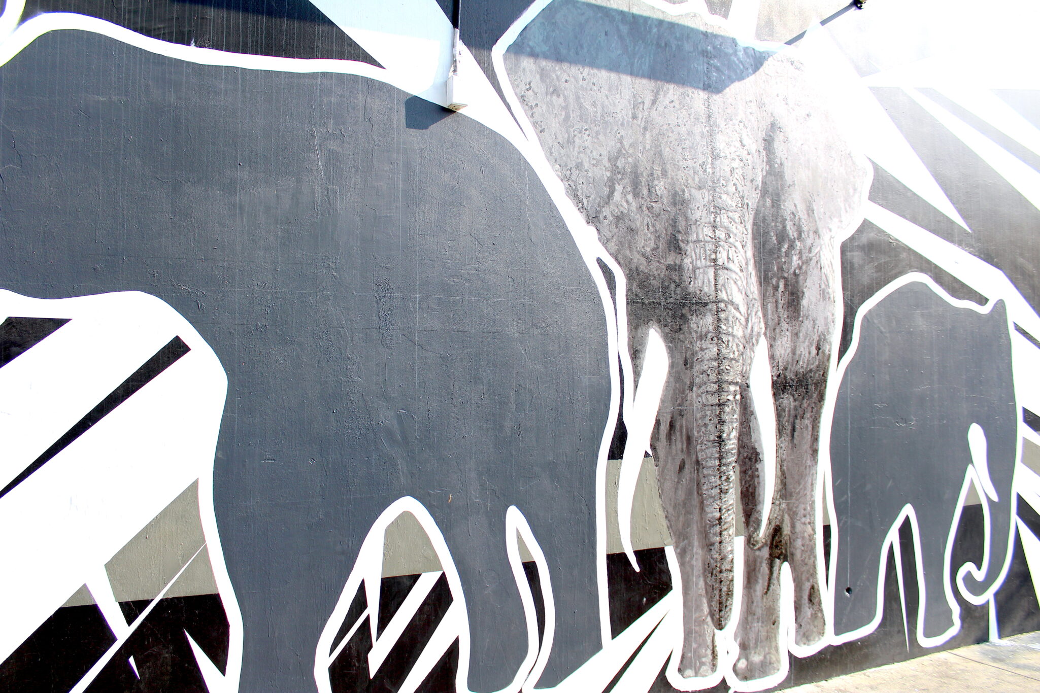 The Elephant In The Room