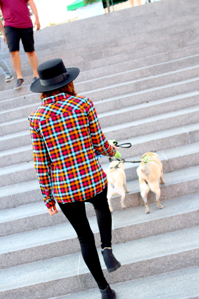 Social Pooches