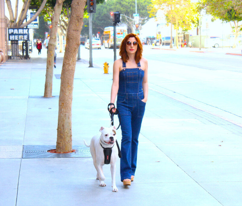 Jaded-LA_2578-1024x683.jpg