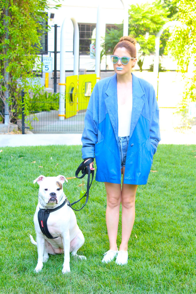 Dogs Dayz
